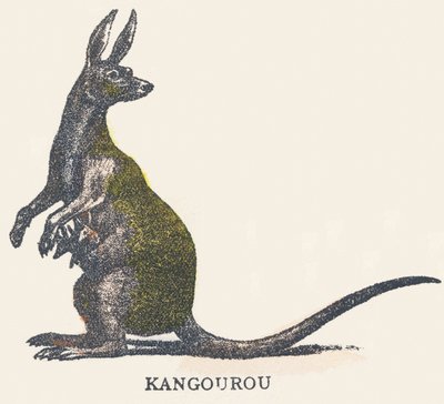 Kangaroo by Unknown artist