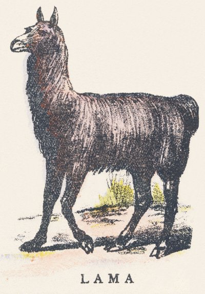 L: lama by Unknown artist