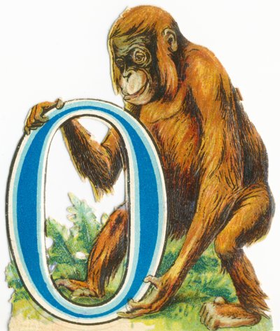 O: Orangutan by Unknown artist