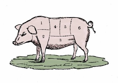 Pork cuts by Unknown artist