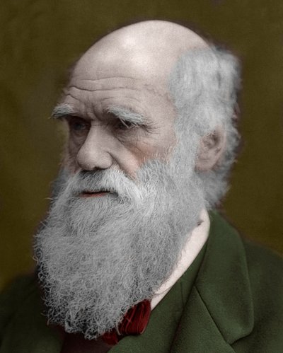 Portrait of Charles Darwin by Unknown artist