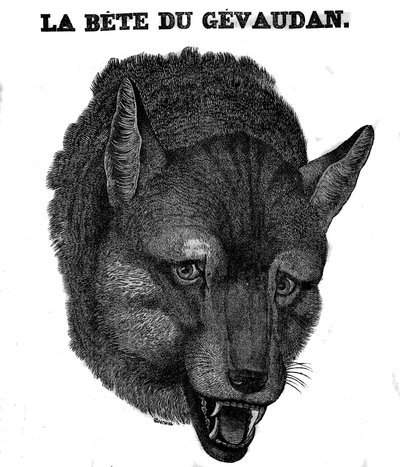 Representation of the Beast of Gévaudan by Unknown artist