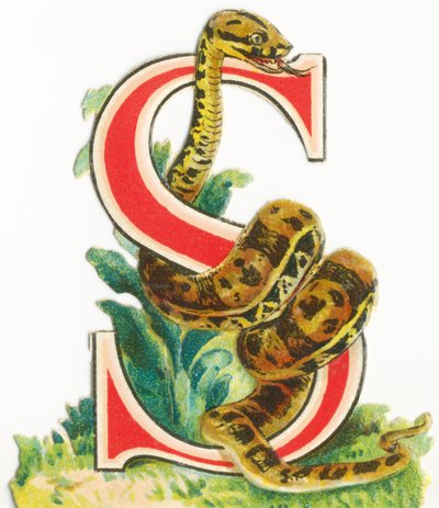S: Snake by Unknown artist