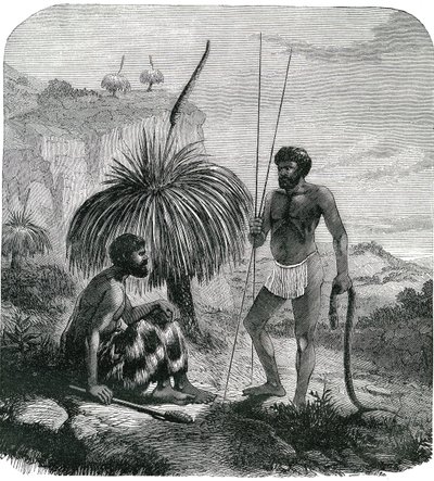 Snake Hunters in Australia (Engraving 1868) by Unknown artist