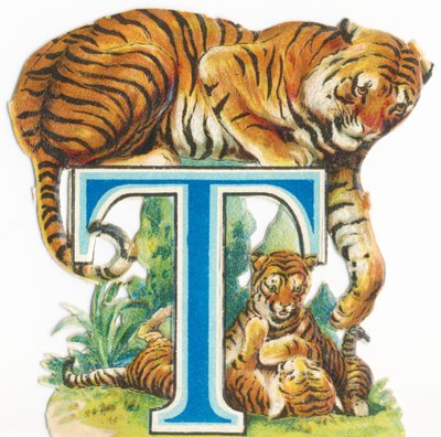 Tiger by Unknown artist