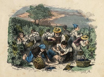 The Harvest. 19th century illustration. Bianchetti Collection by Unknown artist