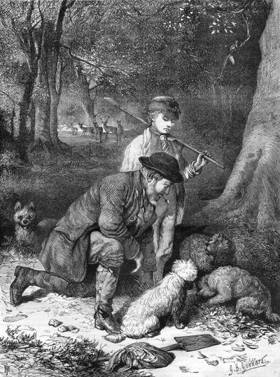 The Truffles. Engraving from 1870. by Unknown artist
