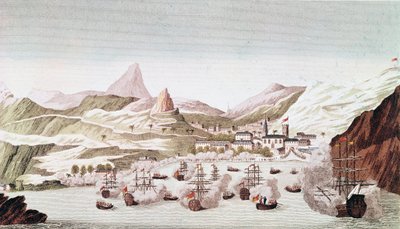 View of the Island Saint Helena by Unknown artist