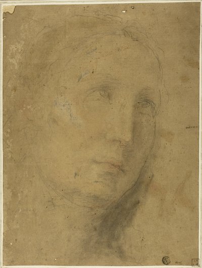 Head Looking Upwards by Unknown Sienese