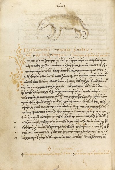 A Bear by Unknown artist