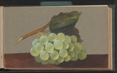 A Bunch of Grapes by Unknown artist