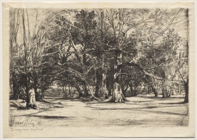 A By-Road in Tipperary by Unknown artist
