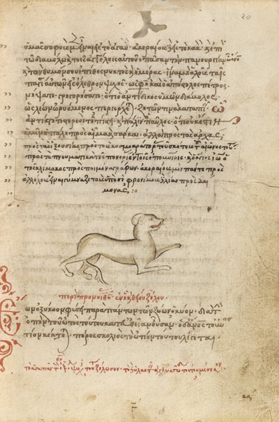 A Dog by Unknown artist