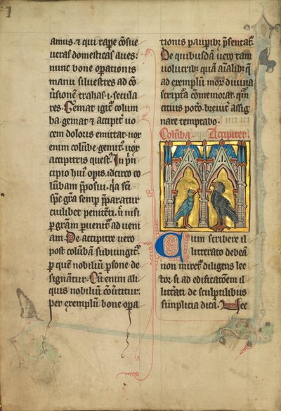 A Dove and a Falcon by Unknown artist