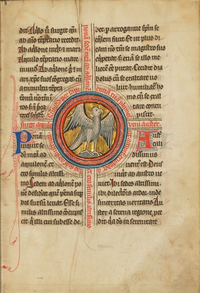 A Falcon within a Cross by Unknown artist