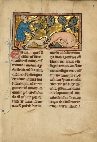 A Hunter and a Beaver by Unknown artist