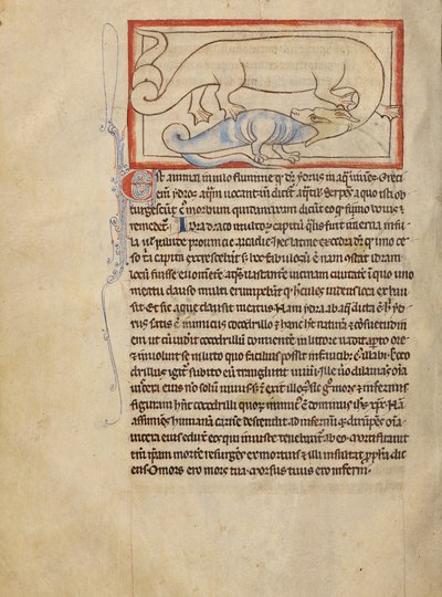 A Hydrus by Unknown artist