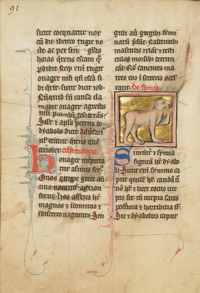 A Monkey by Unknown artist