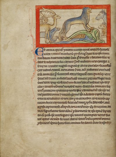 A Panther by Unknown artist