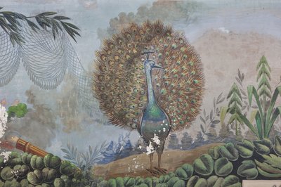 A Peacock (detail) by Unknown artist