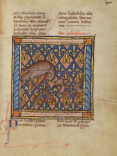 A Pelican Feeding Her Young by Unknown artist