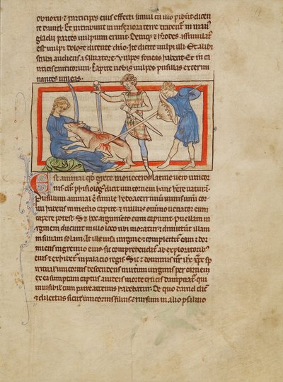 A Unicorn by Unknown artist