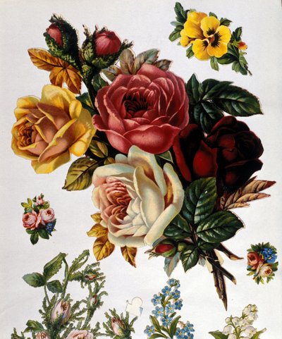 A Bouquet of Roses by Unknown artist