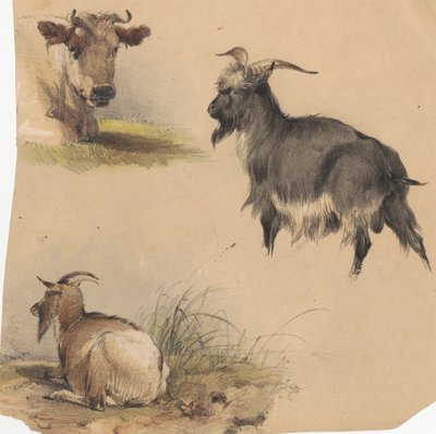 A Cow and Two Goats by Unknown artist