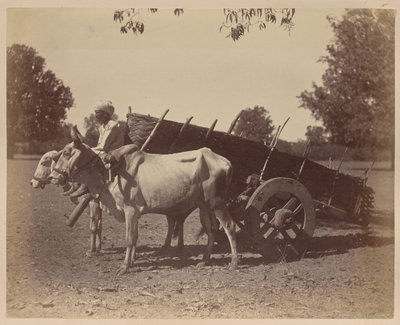 Agricultural Cart, Guzerat by Unknown artist