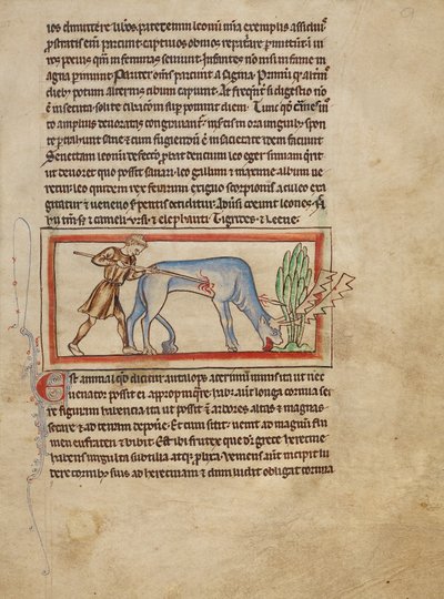 An Antelope by Unknown artist