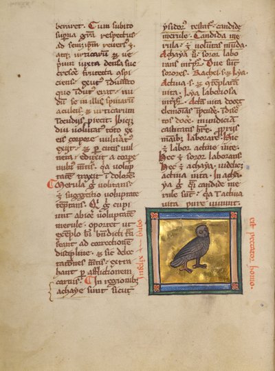 An Eagle Owl by Unknown artist