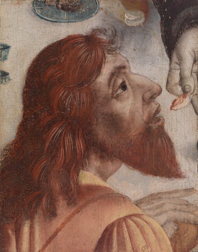 Apostle