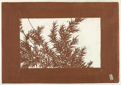 Bamboo by Unknown artist