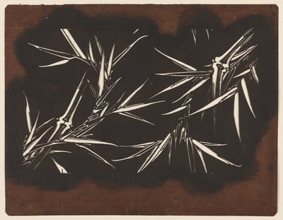 Bamboo by Unknown artist