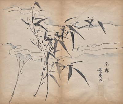 Bamboo by Unknown artist