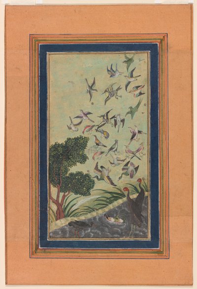 Birds at Baran, possibly from the Babur-nama by Unknown artist