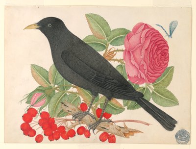 Black Bird with Roses by Unknown artist