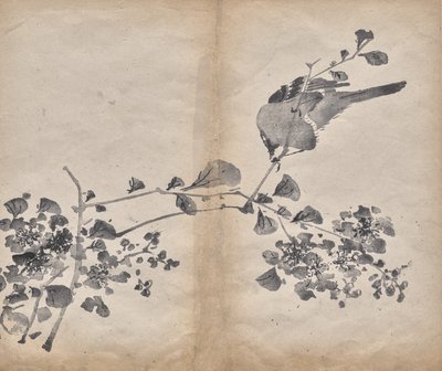 Blossoms by Unknown artist