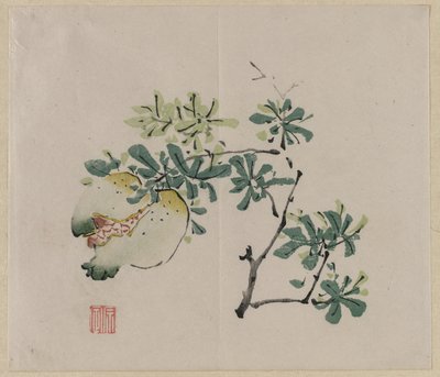 Branch with Pomegranate by Unknown artist