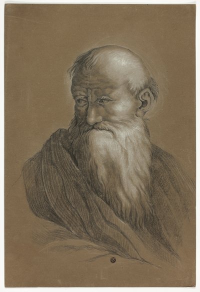 Bust of Bearded Old Man by Unknown artist