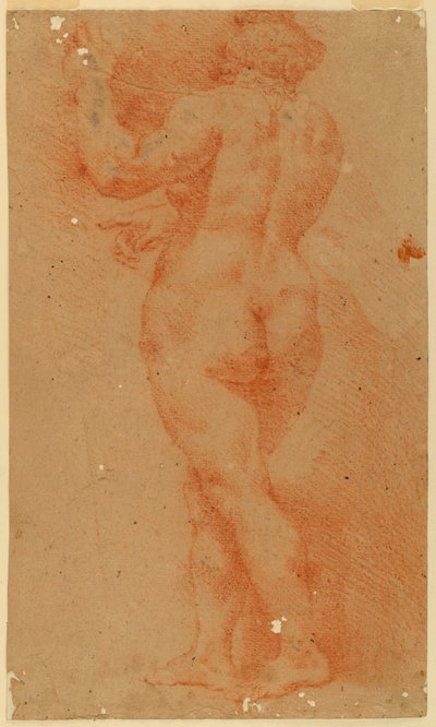 Counterproof Study of a Nude Woman by Unknown artist