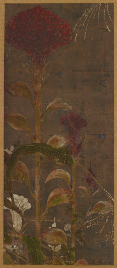 Coxcombs, Maize and Morning-Glories by Unknown artist