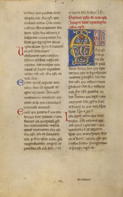 Decorated Initial A by Unknown artist