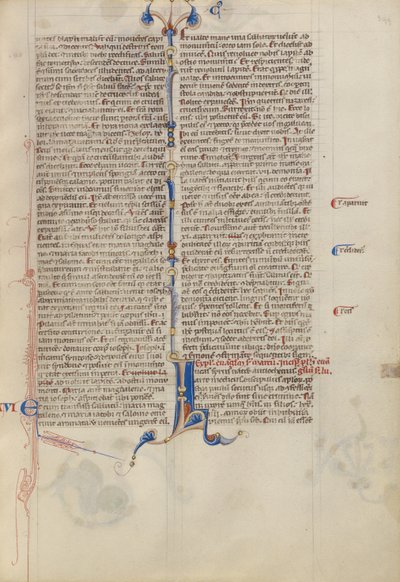 Decorated Initial L by Unknown artist