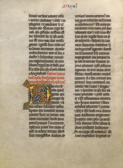 Decorated Initial N by Unknown artist