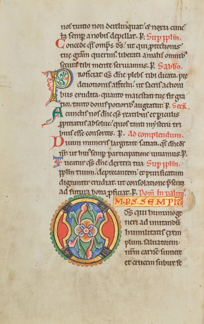 Decorated Initial O by Unknown artist