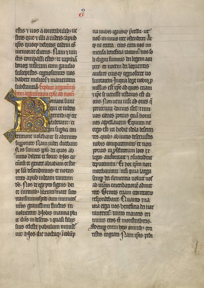 Decorated Initial R by Unknown artist