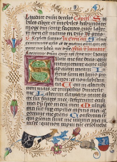 Decorated Initial S by Unknown artist