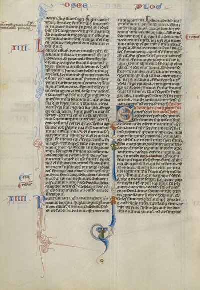 Decorated Initial S by Unknown artist