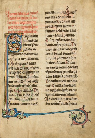 Decorated Initial S by Unknown artist